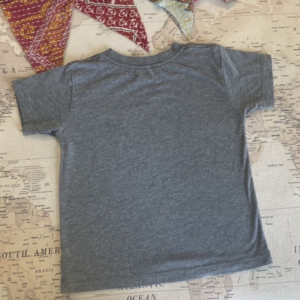 Rivet Apparel Co Gray “Daydreamer” Graphic Kids T-Shirt Size 2/3 - Picture 4 of 4
